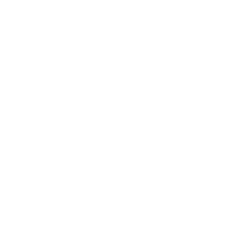 Minimalist illustration of cell division, showcasing cellular structures and their interactions.