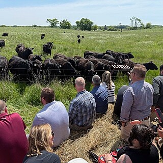 Group of visitors observing black beef cattle at a feeding station during a farm tour, showcasing livestock production for the beef supply industry.