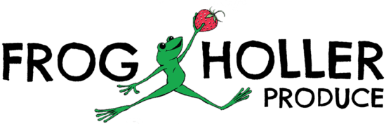 Happy frog leaping with a ripe strawberry, celebrating natures bounty in vibrant colors.